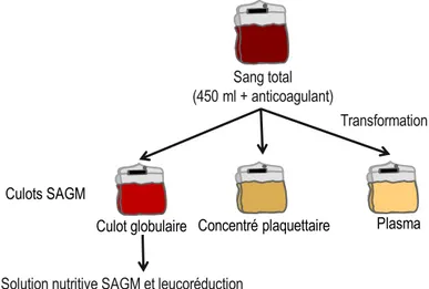 Figure 1.1 Les différentes étapes de transformation pour obtenir trois produits  labiles, un culot globulaire, un concentré plaquettaire et un plasma, à partir d’un don  de sang total, par la méthode du procédé ATREUS (procédé SAGM)