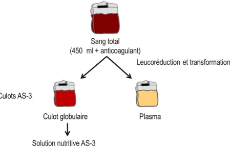 Figure 1.2 Les différentes étapes de transformation pour obtenir deux produits  labiles, un culot globulaire et un plasma, à partir d’un don de sang total, par la méthode  du procédé à froid (procédé AS-3)
