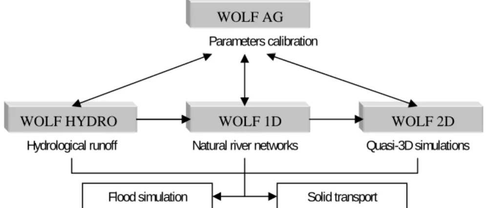 Figure 1 : General organization of WOLF computation units 