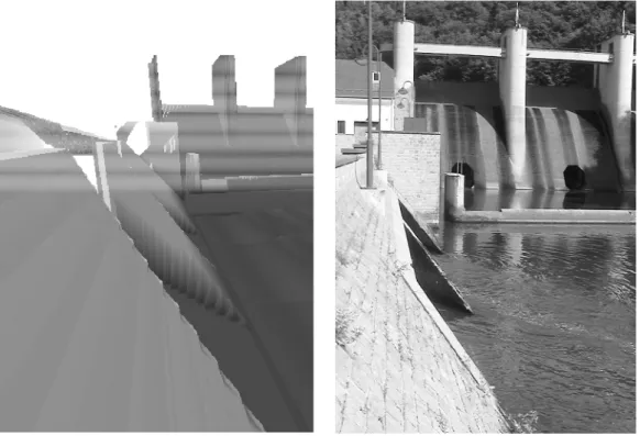 Figure 2: 25 cm digital elevation model of the dam and near downstream 