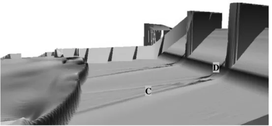 Figure 4: Simulation of the January 3 rd  2003 flood event - 175 m³/s - Solver validation 