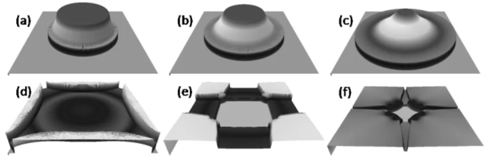 Figure 4: Instantaneous 3D views of the free surface at 4 different time steps following the sudden collapse of an idealized circular dam: (a) 0.2 s, (b) 0.4 s, (c) 0.8 s, (d) 1.8 s, (e) 3.6 s and (f) 4.5 s.
