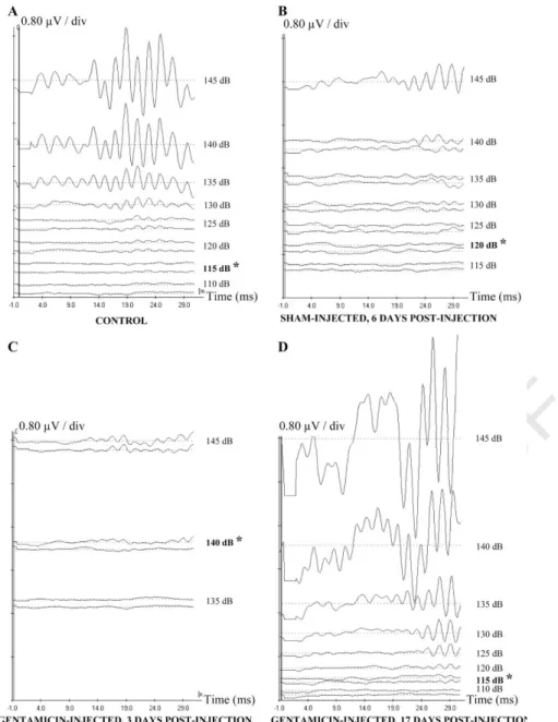 Figure 1. AEP recordings obtained in the cod Gadus morhua (L.), in response to tone bursts at 250 Hz