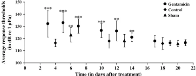 Figure 2. Average response thresholds recorded in each group of fish (control, sham, intrasaccular gentamicin injection, n10 individuals for each measure) throughout the 21 days of the experimental period