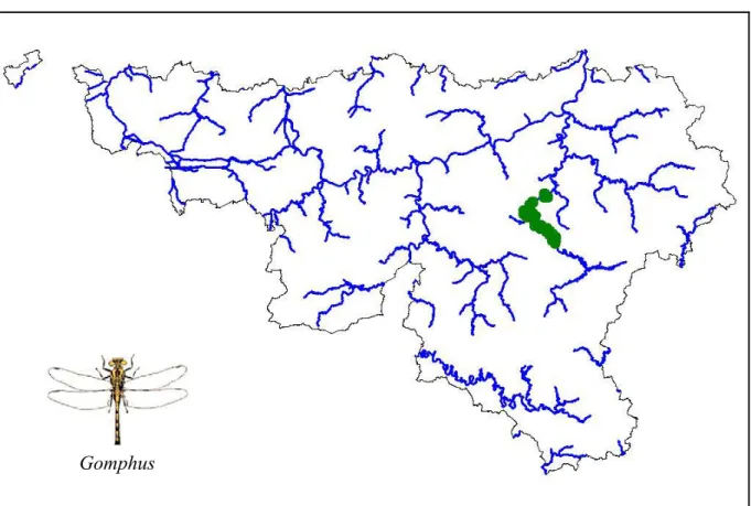 Figure 22 : Répartition de la cordulie à corps fin (Oxygastra curtisii) en Région Wallonne 