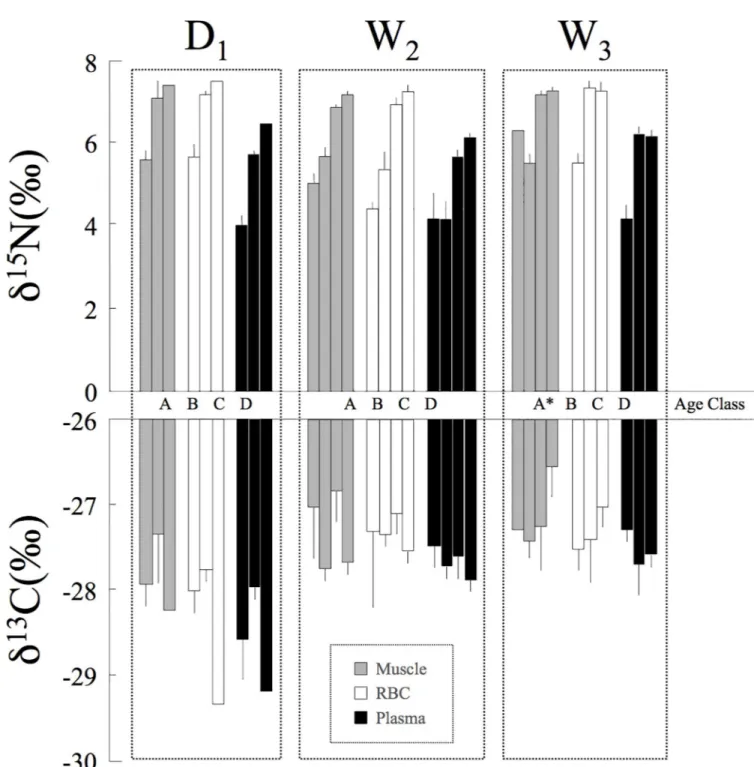 Fig 3. Mean (+SE) δ 15 N and δ 13 C values for black caimans in different age classes