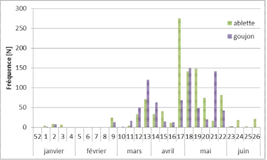 Figure 8 : Evolution des passages d’ablettes et de goujons à Waulsort au premier semestre 2012 