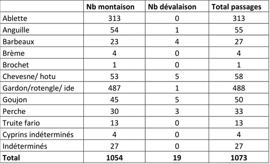 Tableau 2 : Récapitulatif des passages de poissons à l'échelle de Waulsort entre le 02/07 et le  31/12/2012 