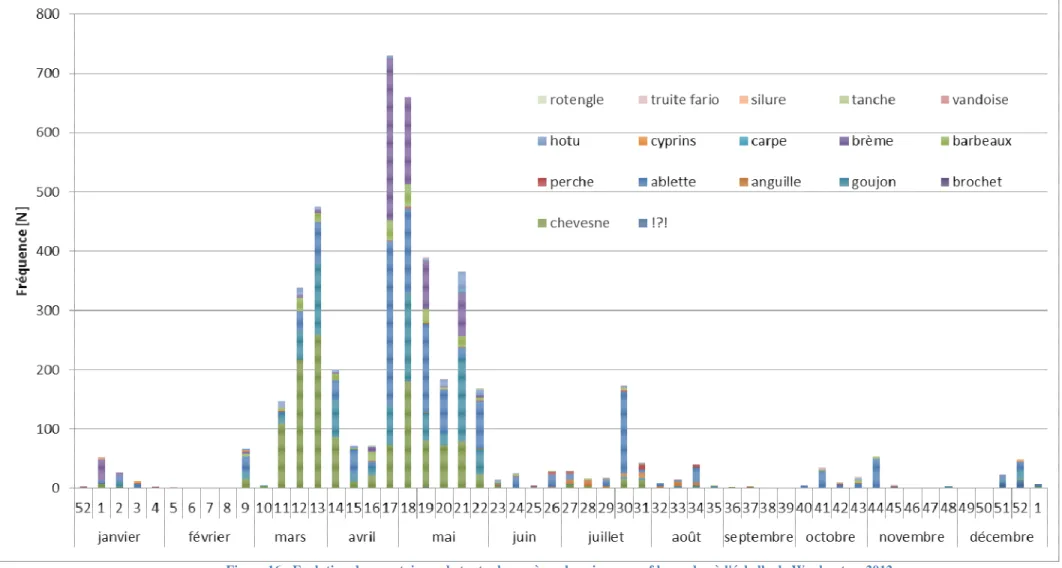 Figure 16 : Evolution des montaisons de toutes les espèces de poissons sauf le gardon à l'échelle de Waulsort en 2012 