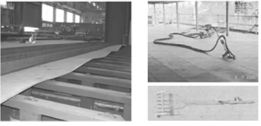 Figure 1 (a) A distorted panel. 