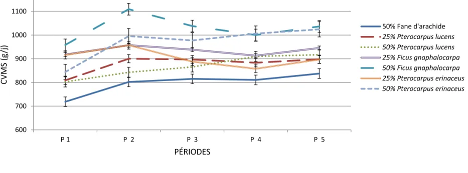 Figure 5.3 : Évolution des CVMS des ovins soumis aux différentes rations en fonction des périodes du test (g/j) 