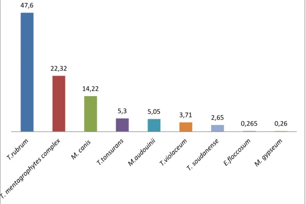 Figure 6 : Répartition des espèces de dermatophytes (en %) causant des infections  de la peau en 2014