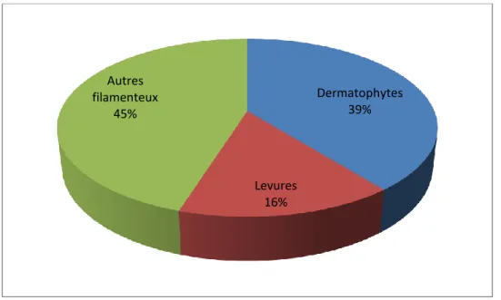 Figure 1 : Répartition des prélèvements reçus en 2014 par le CNR mycoses. 