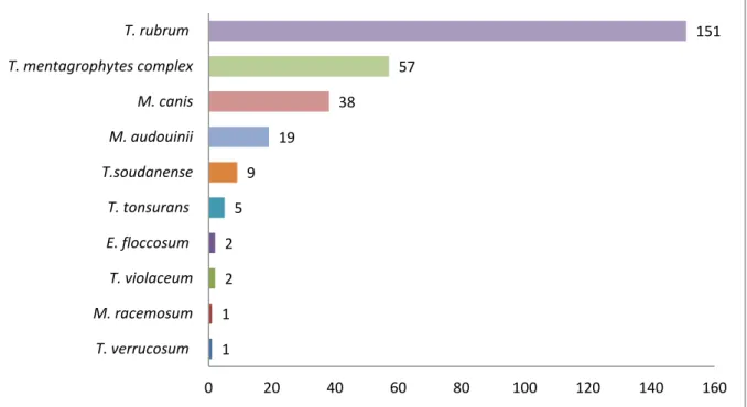 Figure 6 : Répartition des espèces de dermatophytes (en %) causant des infections  de la peau en 2015