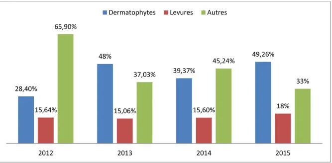 Figure 11 : Répartition des espèces de dermatophytes isolées en 2012, 2013,   2014 et 2015 par les CNR