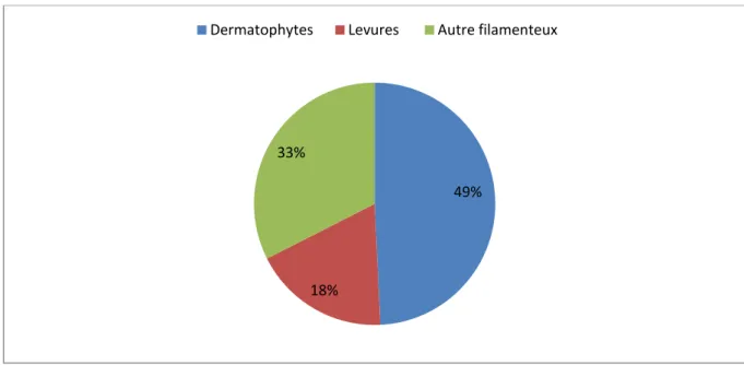 Figure 1 : Répartition des prélèvements reçus en 2015 par le CNR mycoses. 