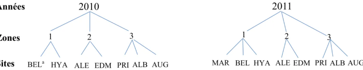 Figure 3. Schéma descriptif des zones et des sites d’essais en 2010 et 2011 