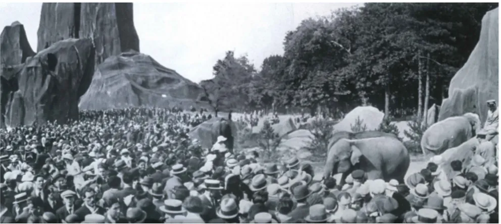 Figure 3 : Foule devant les éléphants au zoo de Vincennes, 1954