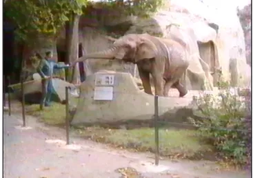 Figure 5 : Coco l'éléphant et un gardien