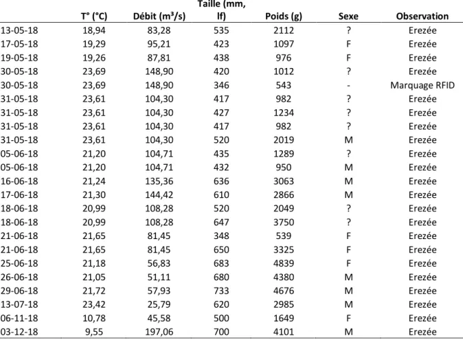 Tableau 3 : Liste des truites communes adultes (n=23) capturées dans la grande  échelle à poissons du barrage  de Lixhe au cours de l’année 2018