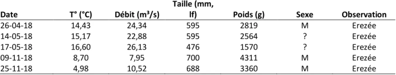 Tableau 6 : Liste des truites communes adultes (n=5) capturées dans la passe à poissons du barrage des Grosses  Battes sur l’Ourthe au cours de l’année 2018