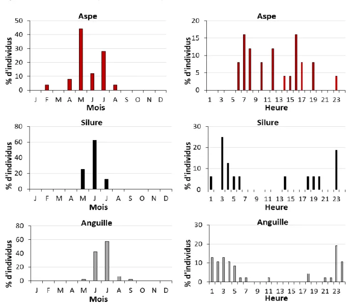 Fig. 13 : Pourcentage d’individus par espèce en fonction des mois de l’année (à gauche) et en fonction des  heures de la journée (à droite) pour les autres espèces 