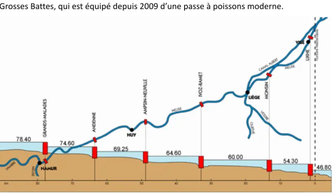 Figure 1. Localisation des barrages de navigation+ centrales hydroélectriques sur la Meuse wallonne entre  Visé et Namur (source : SPE)