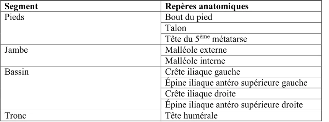 Tableau 3 : Repères anatomiques numérisés avec la sonde Optotrack 