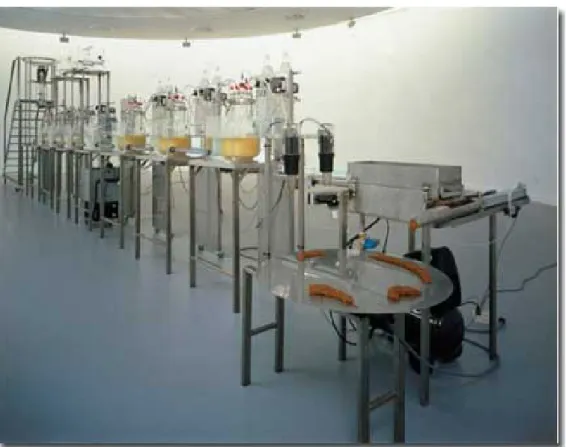 Fig 1 Cloaca, de Wim Delvoye