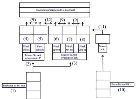 Figure 1 – Représentation du programme d’études en Sciences de la motricité 