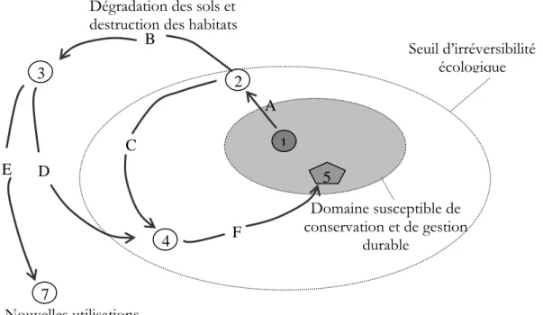 Fig.  1:  Modèle   général  du  processus  de  dégradation  des  écosystèmes  et  les  réponses  possibles  pour  leur  restauration  (A)  Processus  écologique  de  dégradation  (perturbations  limitées);  (B)  Processus  écologique  de  dégradation  (per