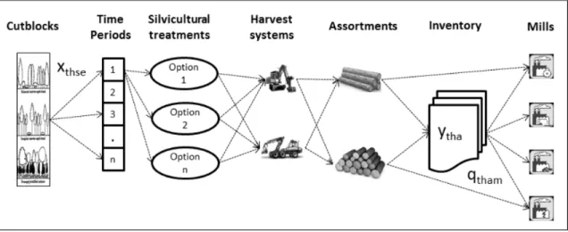 Figure 3.3. A depiction of the overall plan components with the decision  variables. 