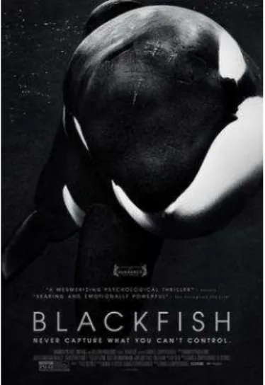Figure 3. Affiche du film  Blackfish, 2013 
