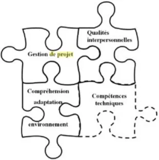 Figure 4 : Le chef de projet multi-compétent 19