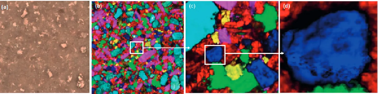 Figure 1b to figure 1d show three Raman hyperspectral images  with the same number of pixels (200 x 200) and consequently  the same analysis time