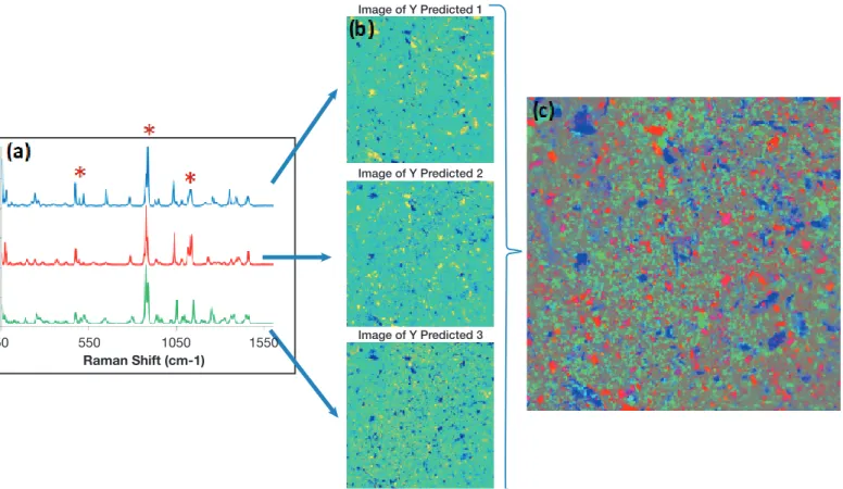 Figure 2: Raman spectrum of  α ,  β ,  δ  mannitol (a), distribution maps indicating the spatial distribution of mannitol forms (b) and  α ,  β ,  δ  distribution map  indicating the composition and the spatial distribution of mannitol forms of a tablet (c