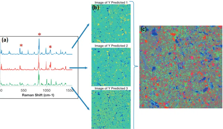 Figure 2: Raman spectrum of  α ,  β ,  δ  mannitol (a), distribution maps indicating the spatial distribution of mannitol forms (b) and  α ,  β ,  δ  distribution map  indicating the composition and the spatial distribution of mannitol forms of a tablet (c
