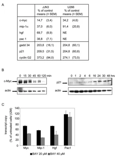 Fig. 4. ER ␣ interaction with p65. A, immunoprecipitation assay. JJN-3 cells were untreated (0) or treated with RAL (5 ␮M) for the indicated times