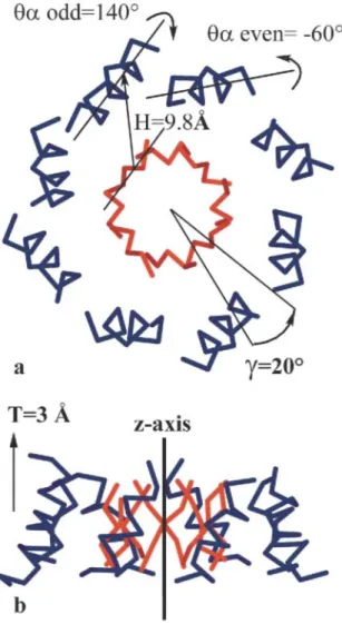 Figure 2. Description of the parameters used to construct the α-helix scaffold around the β-sheet barrel
