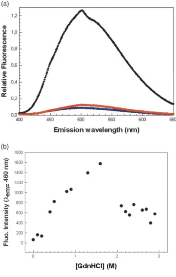 Figure 10. (a) Fluorescence emission spectra of ANS with the protein in 0 M GdnHCl (blue), 1M GdnHCl  (black), and  2M GdnHCl (red) in the presence of 850 mM NaCl