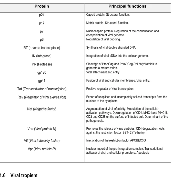 Table 1. Functions of HIV-1 proteins (summarized from [41, 46]) 