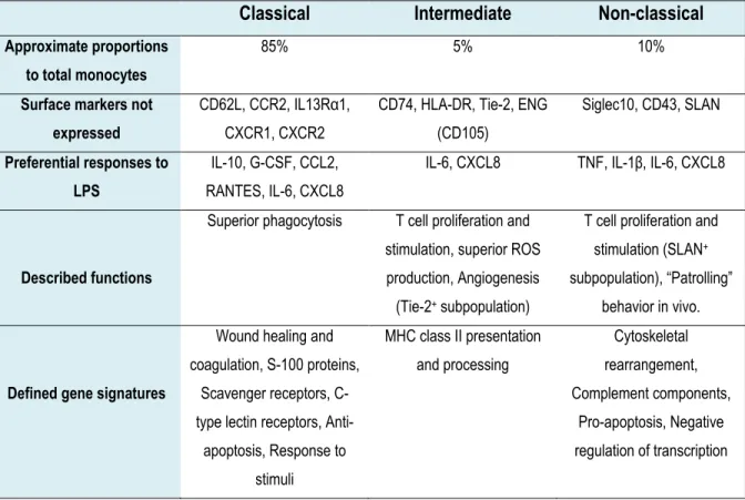 Table 2. Phenotypic and functional differences between the three monocyte subsets (Adapted  from [202]) 