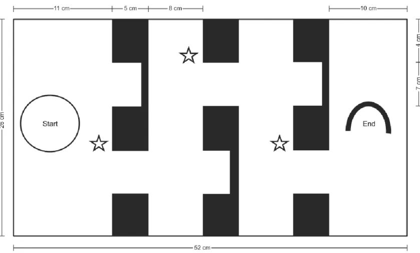 Figure 2. Cross-sectional view of the maze system. The maze comprised three walls, each with two doors