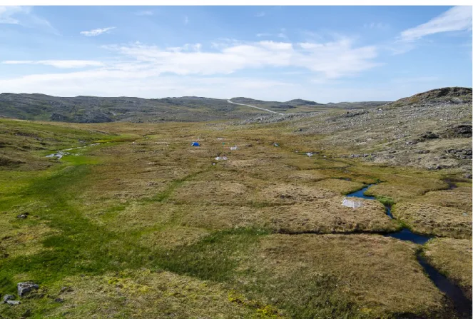 Figure 2. The polygonal peatland in the west-facing valley.  