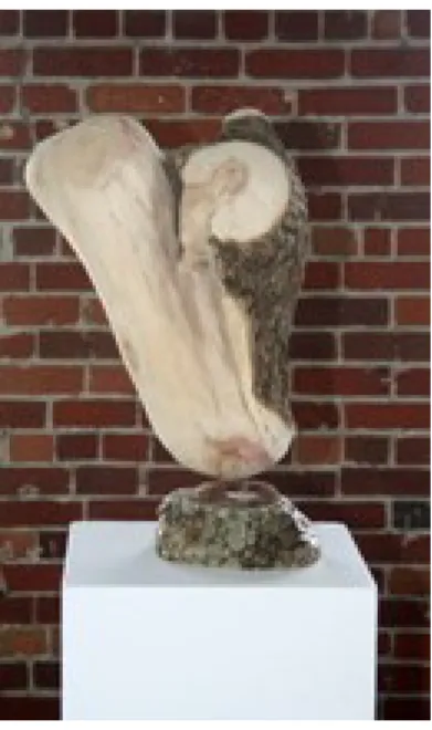 Figure 12: Buste (2013) 