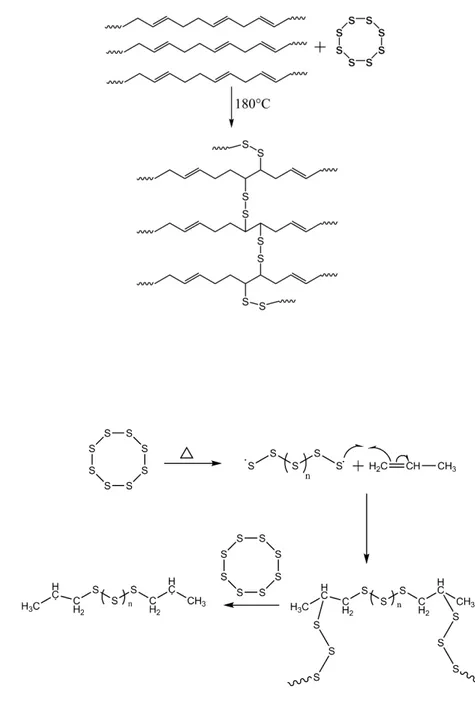 Fig. 1.2 Schematic illustration of cross-links which may be produced by vulcanization   A)by destruction of a double bond  6 ; B) possible mechanism of vulcanization by 