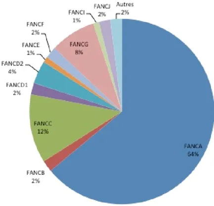 Figure 1 : Distribution de la fréquence des patients atteints de l’anémie de Fanconi en  fonction du gène responsable