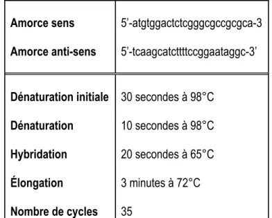 Tableau 4 : Amorces et conditions de l’amplification PCR de l'ADNc de la frataxine 