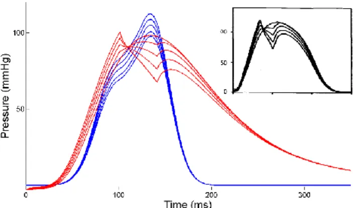 Fig.  1:  Pressure  vs.  time  during  five  FC  experiments. 