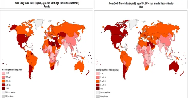 Figure 1 : Représentation mondiale de l’indice de masse corporelle par pays selon le  sexe